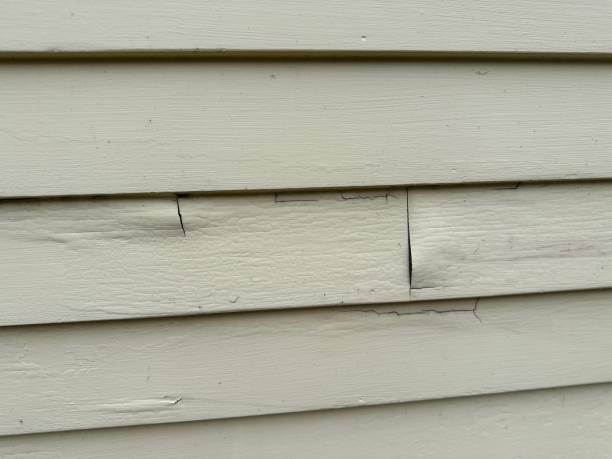 Best Storm Damage Siding Repair  in Union, OH